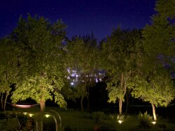 Hausgarten in der Nacht