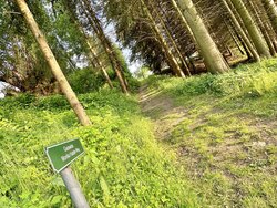 Monika Haider Weg durch den Hausgarten