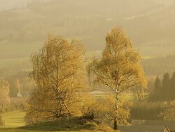 Abendstimmung-Yspertal
