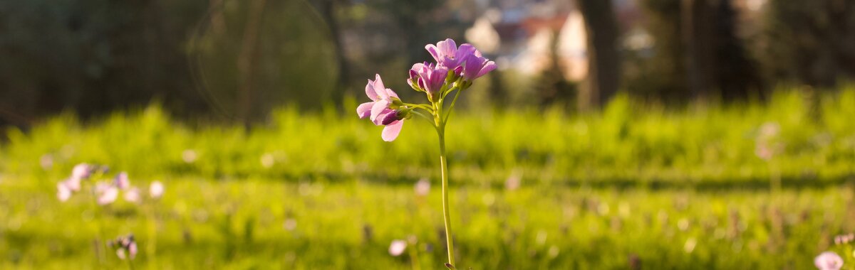 Nachhaltig wirtschaften. Regional denken. Verantwortung leben.