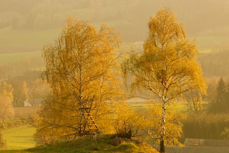 Das Südliche Waldviertel